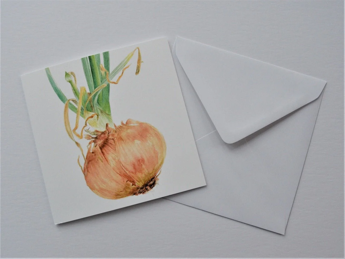 Sprouting Onion Flower Bud greetings card shown at an angle with its white envelope