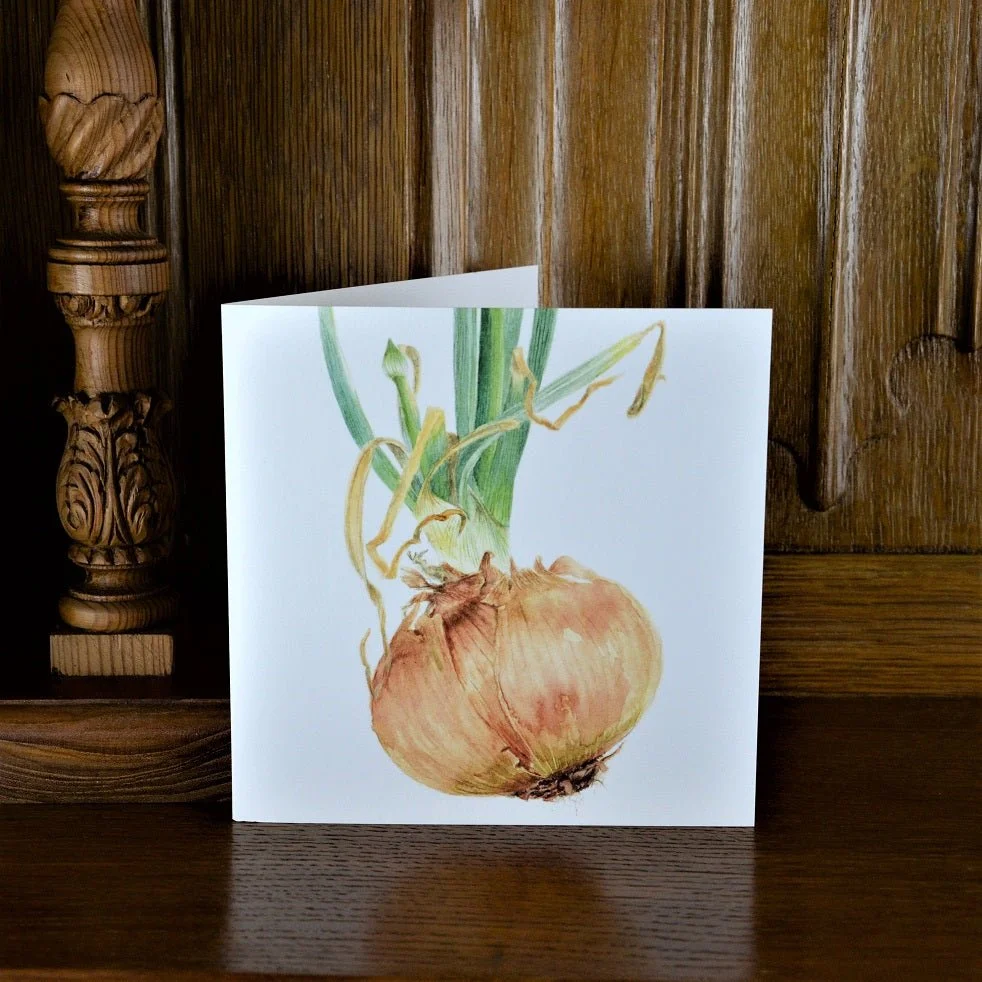Sprouting Onion Flower Bud greetings card standing on a wooden mantelpiece