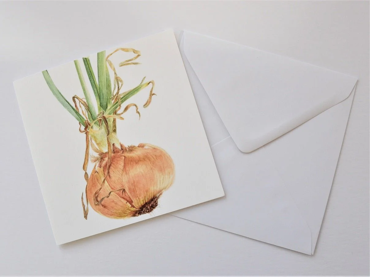 Sprouting Onion Beauty greetings card shown at an angle with its white envelope