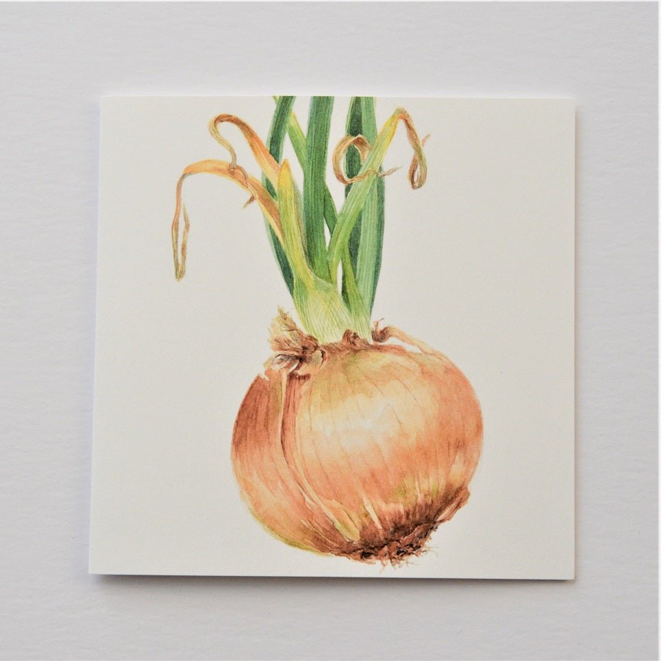 Sprouting Onion Green greetings card, a botanical drawing of an onion bulb with green shoots