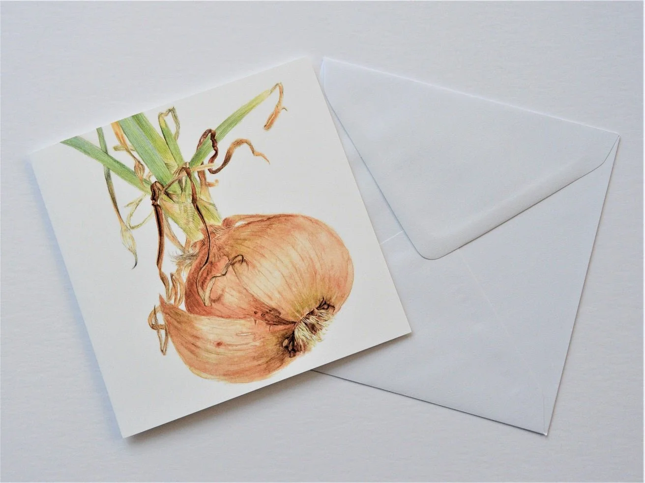 Sprouting Onion Roots greetings card shown at an angle with its white envelope
