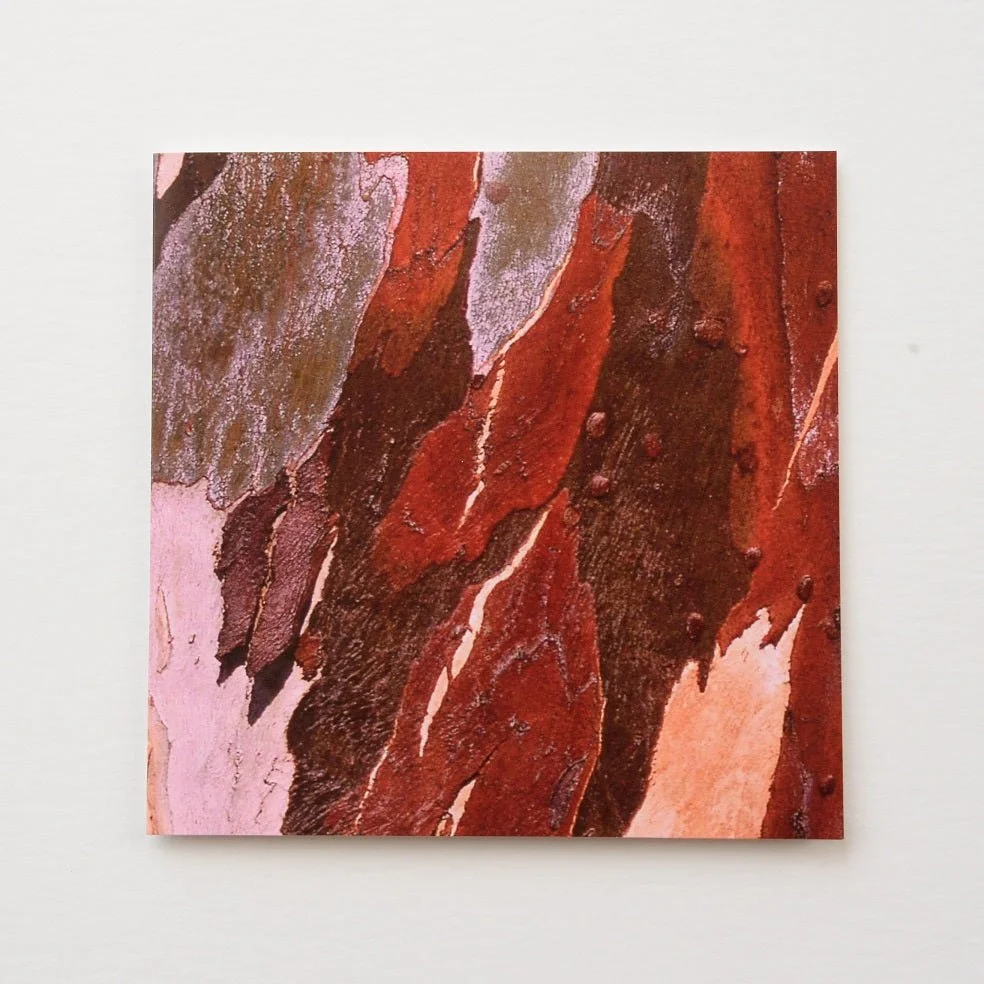 Eucalyptus Landscape greetings card, the peeling red and pink bark of a eucalyptus tree