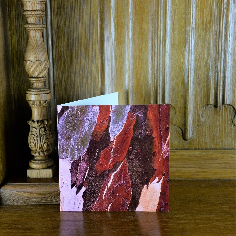 Eucalyptus Landscape greetings card standing on a wooden mantelpiece