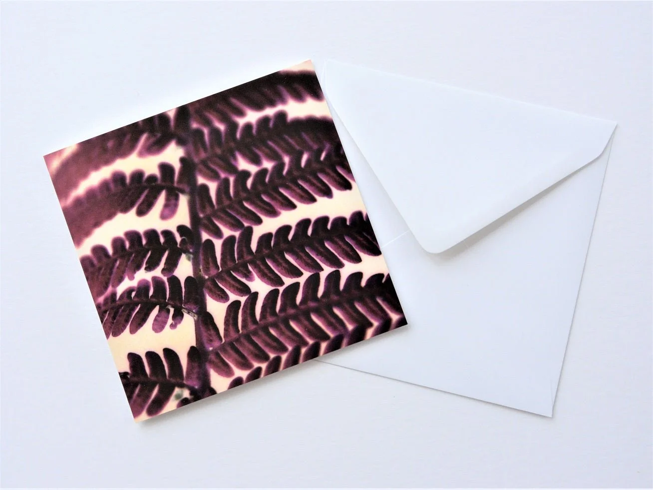 Photographic Fern greetings card shown at an angle with its white envelope