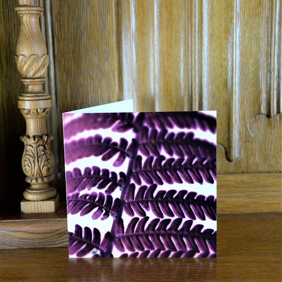 Photographic Fern greetings card standing on a wooden mantelpiece
