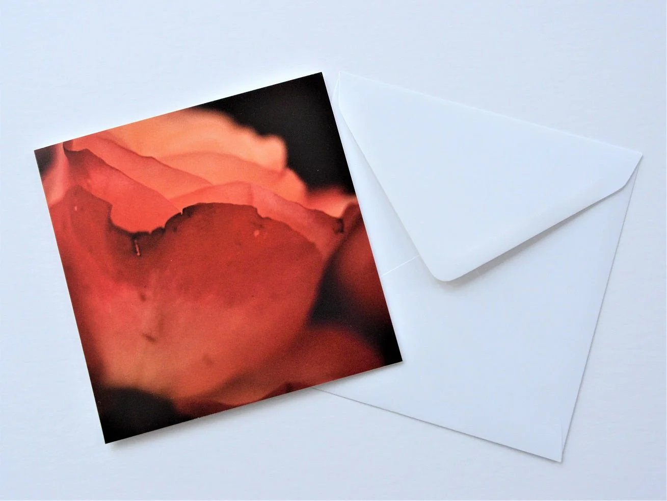 Rose Shadows greetings card shown at an angle with its white envelope