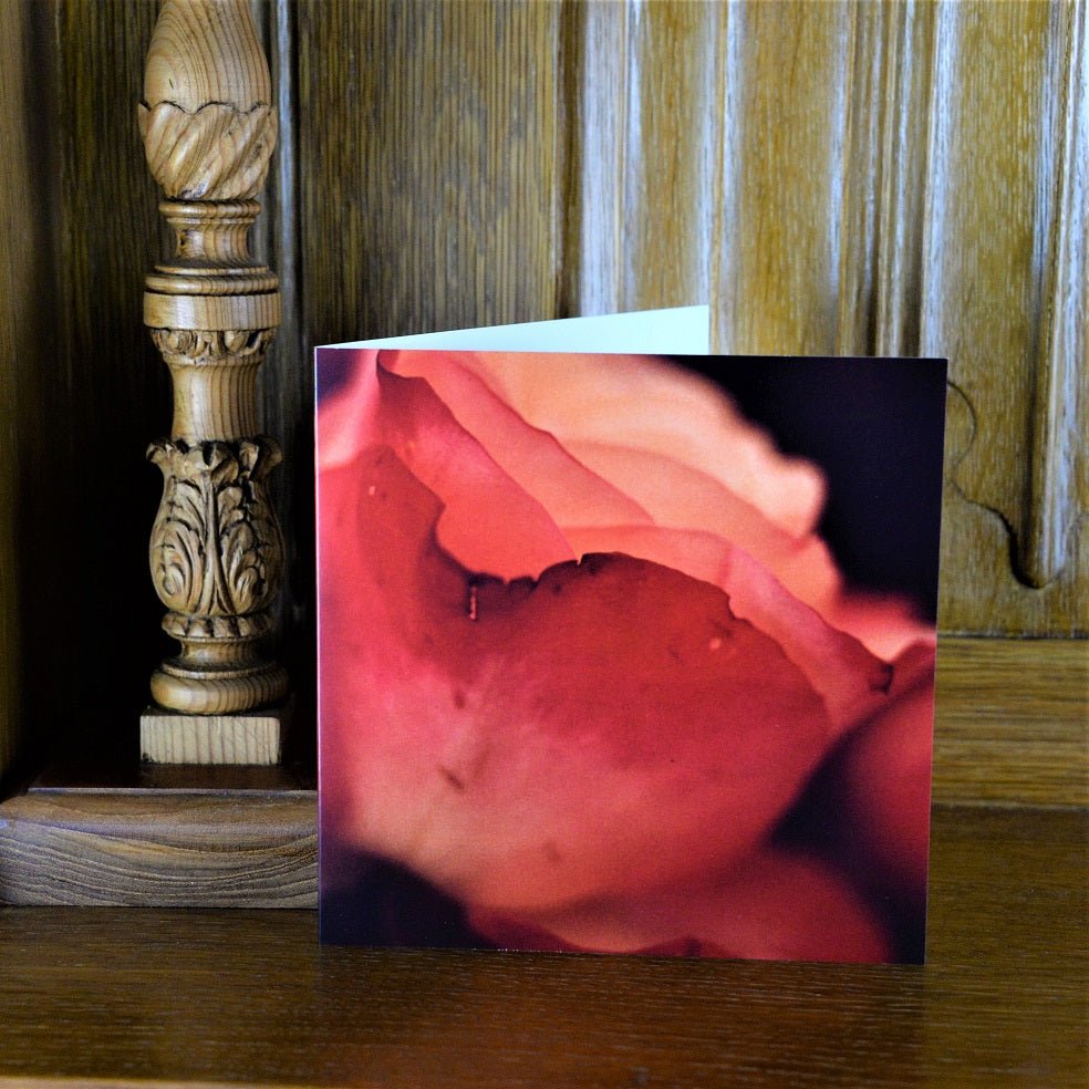 Rose Shadows greetings card standing on a wooden mantelpiece