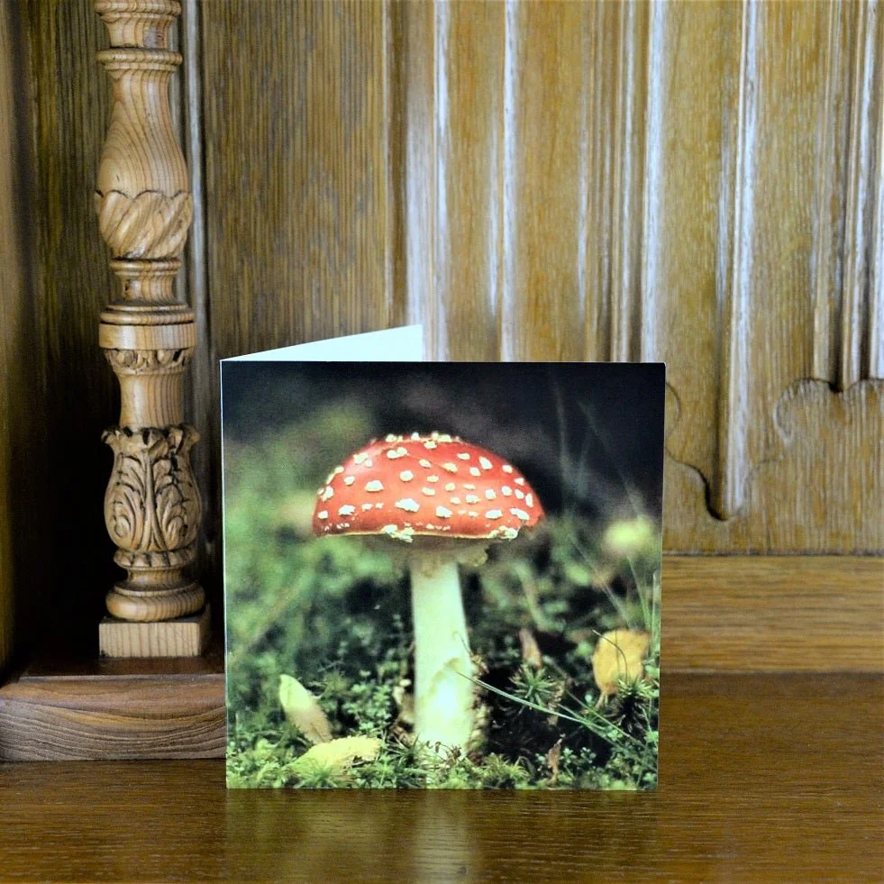 Amanita Muscaria Wales greetings card standing on a wooden mantelpiece