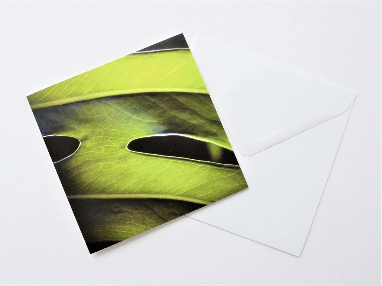 Delicious Monster greetings card shown at an angle with its white envelope