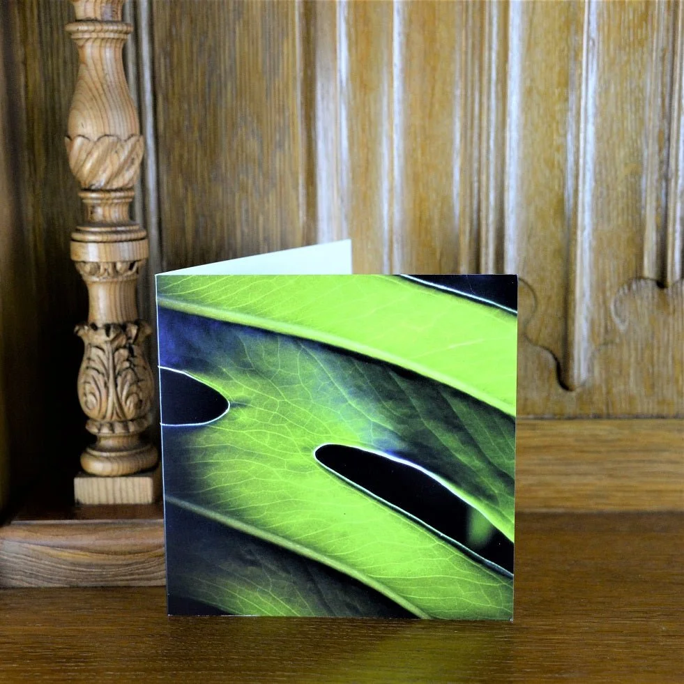 Delicious Monster greetings card standing on a wooden mantelpiece