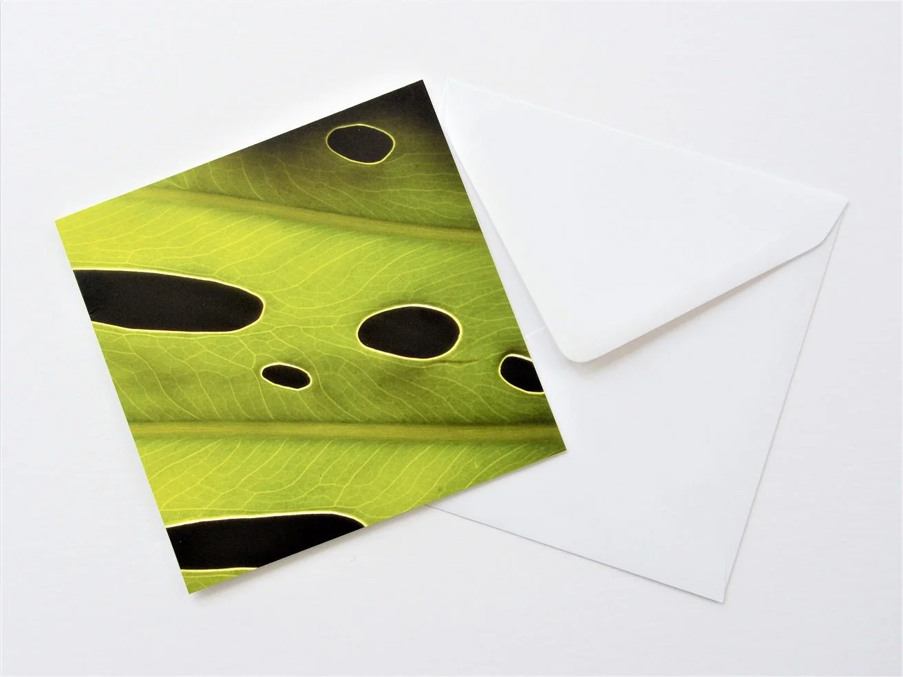 Leaf Glow greetings card shown at an angle with its white envelope