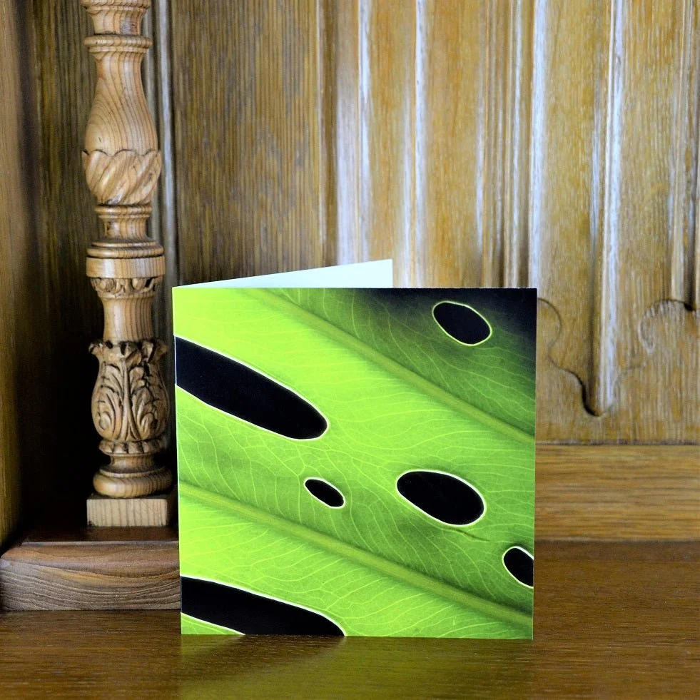 Leaf Glow greetings card standing on a wooden mantelpiece