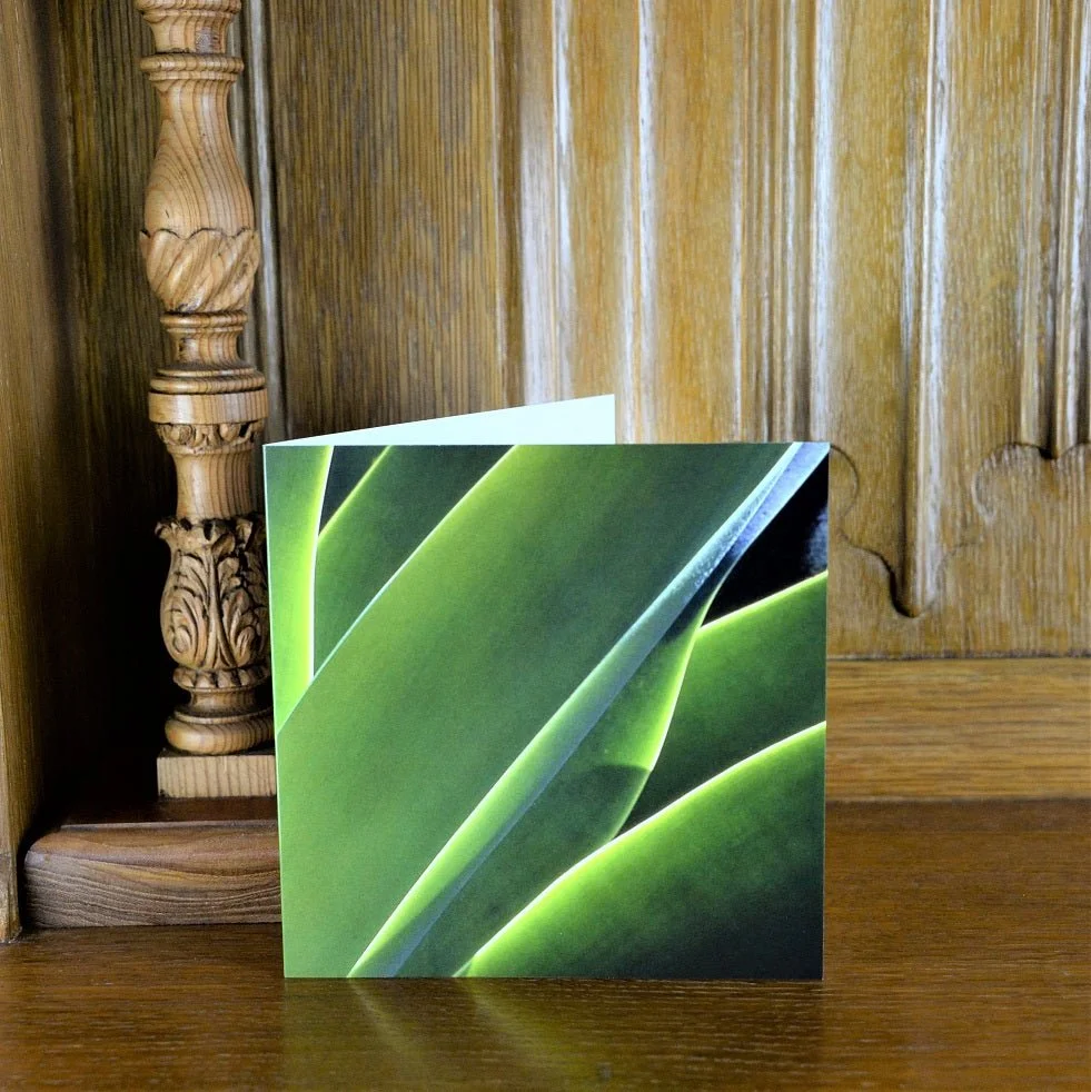 Zimbabwe Agave greetings card standing on a wooden mantelpiece
