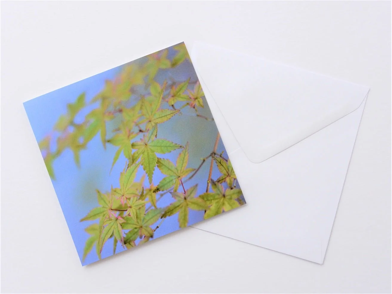 Japanese Maple Blues greetings card shown at an angle with its white envelope