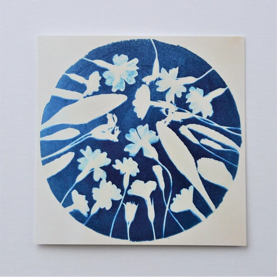 Early One Spring greetings card, a circular cyanotype-blue print of spring flowers and leaves