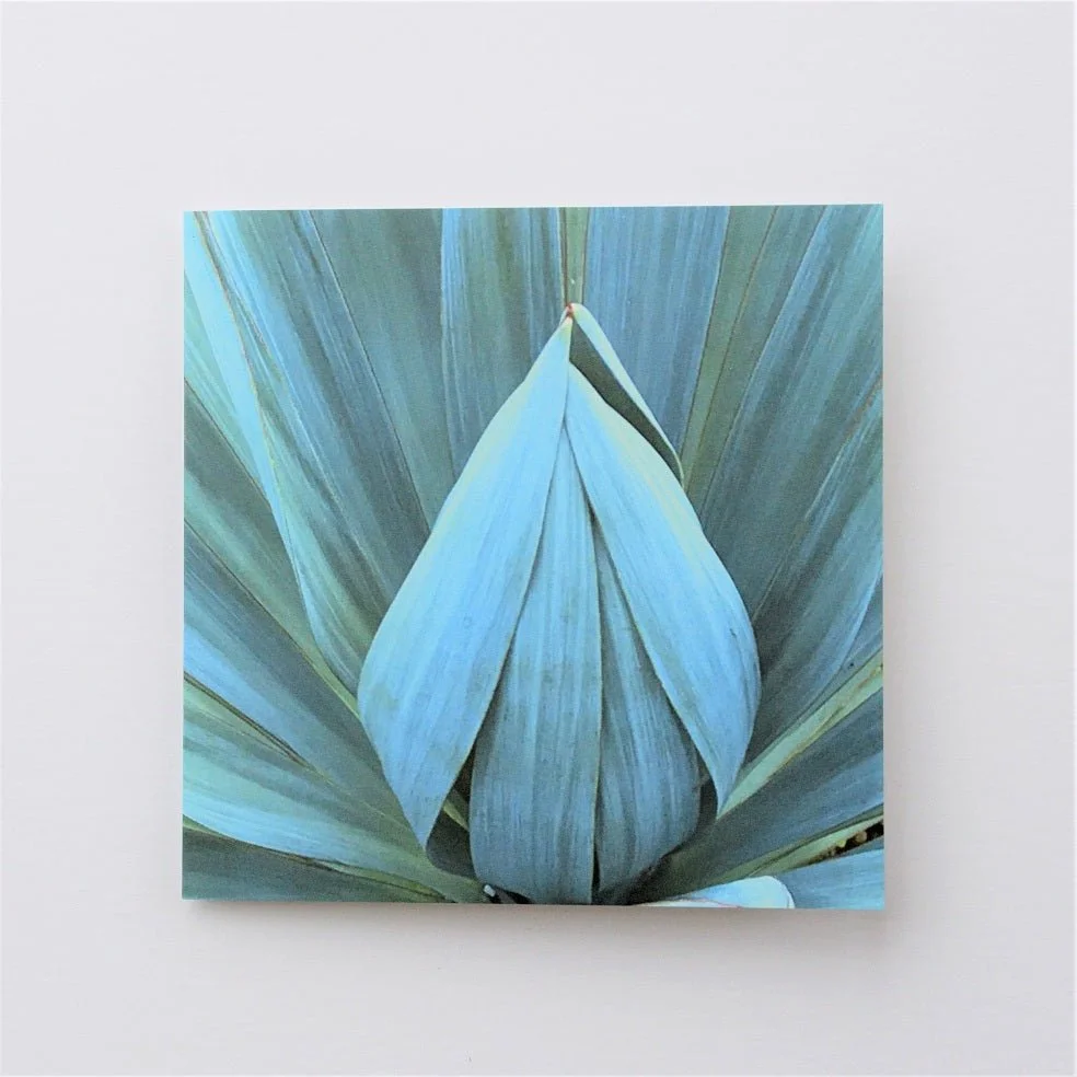 Sisal Folded Leaves greetings card, a blue-green folded leaf form photographed on a pale ground