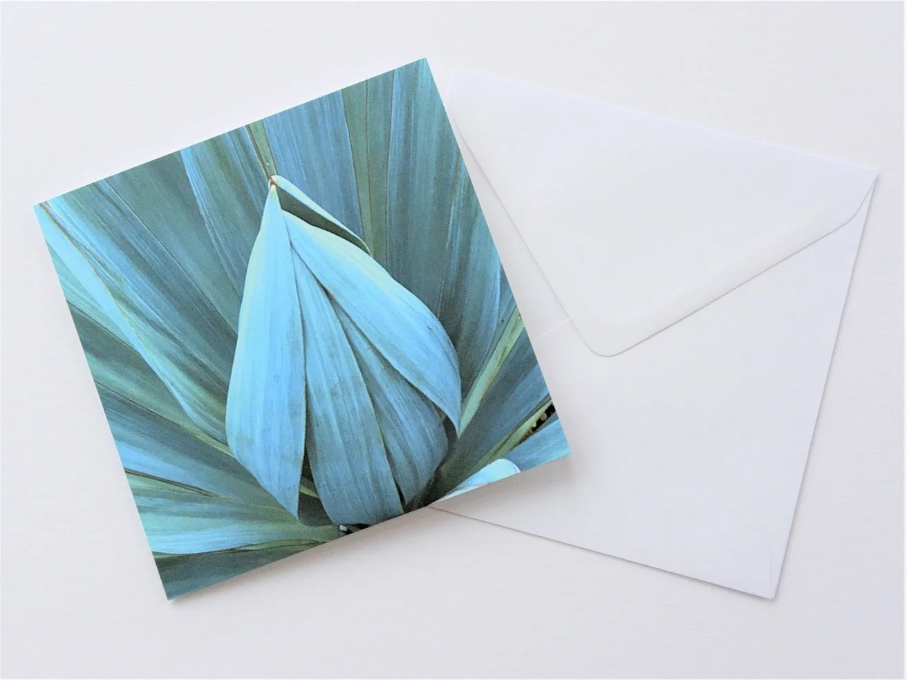 Sisal Folded Leaves greetings card shown with its white envelope