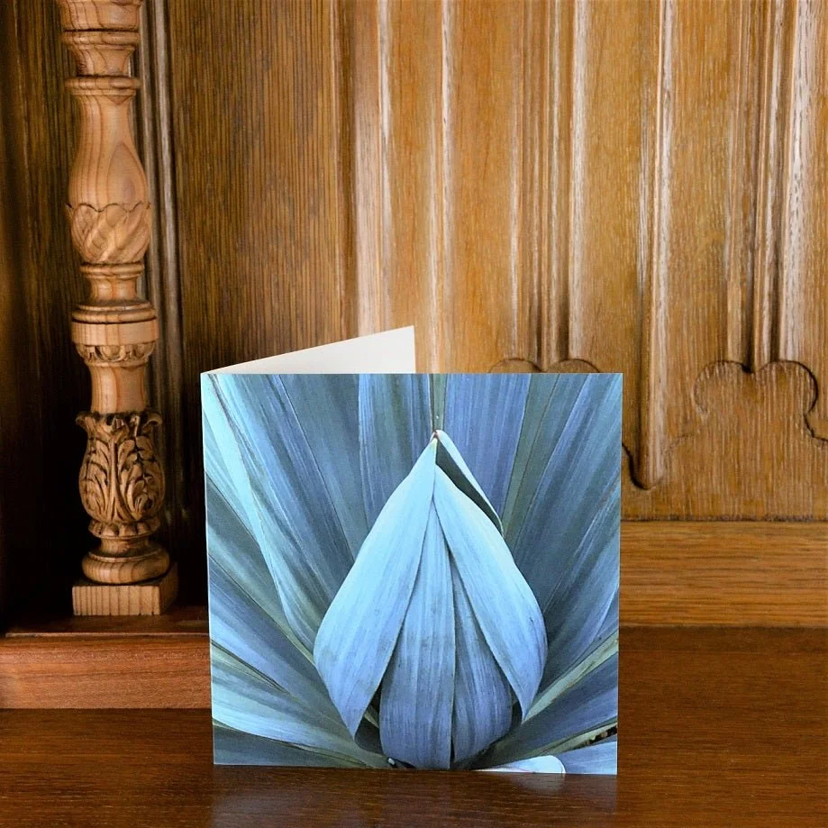 Sisal Folded Leaves greetings card standing on a wooden mantelpiece