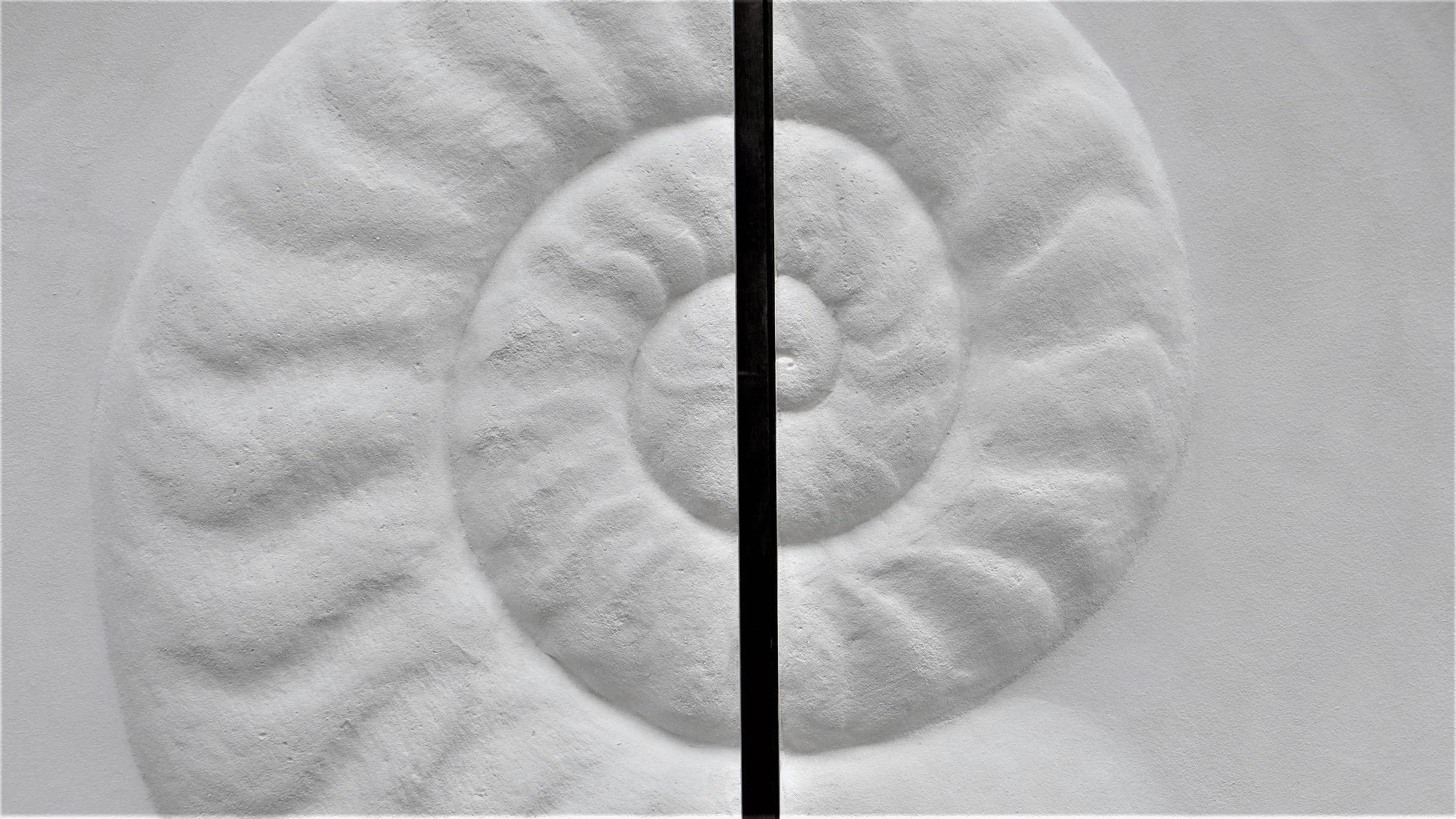 Close view of the Ancient Ammonite wall sculpture showing the ribbed chambers of the carved shell