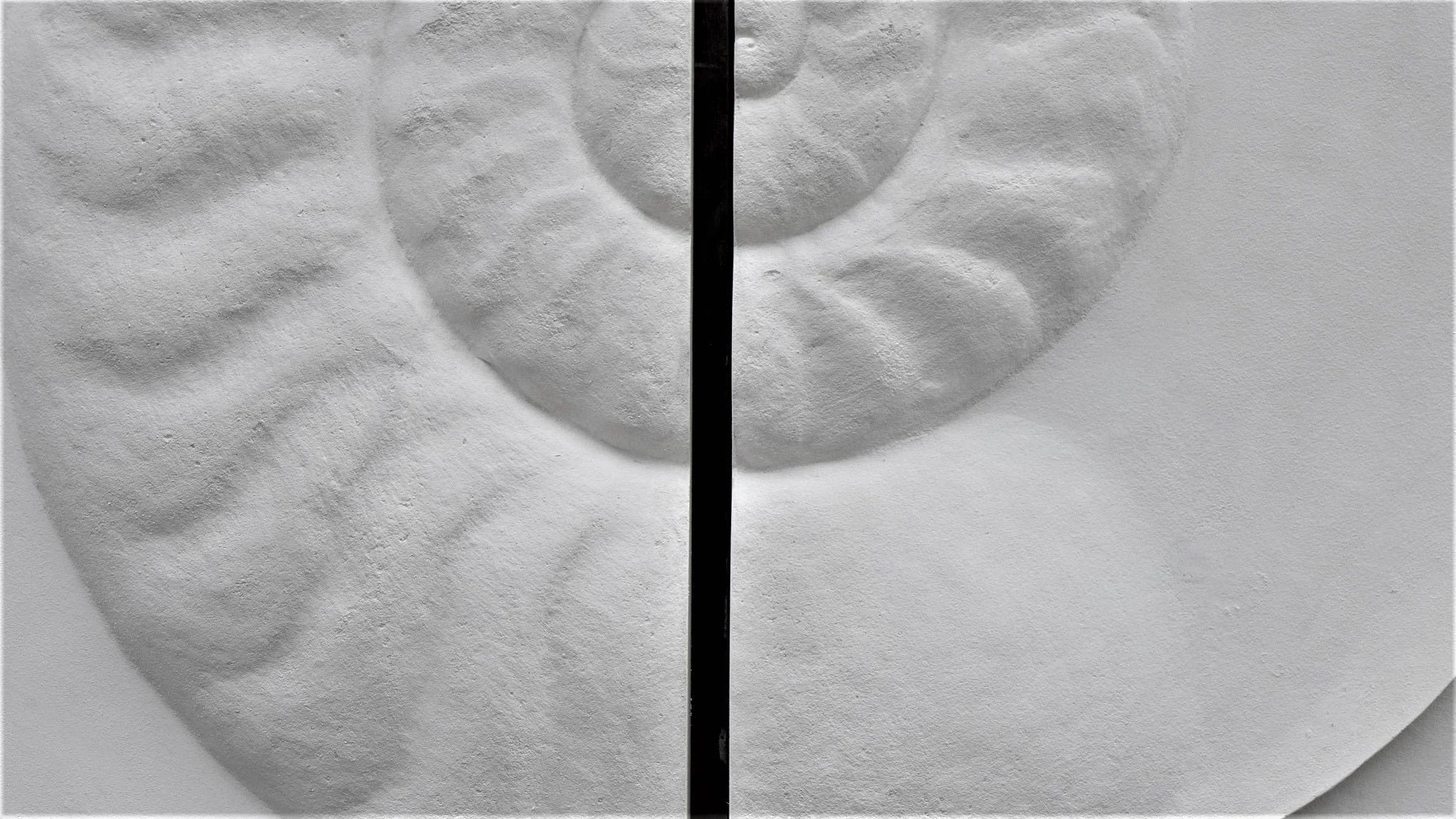 Close detail of the Ancient Ammonite wall sculpture showing the coiled centre of the carved shell