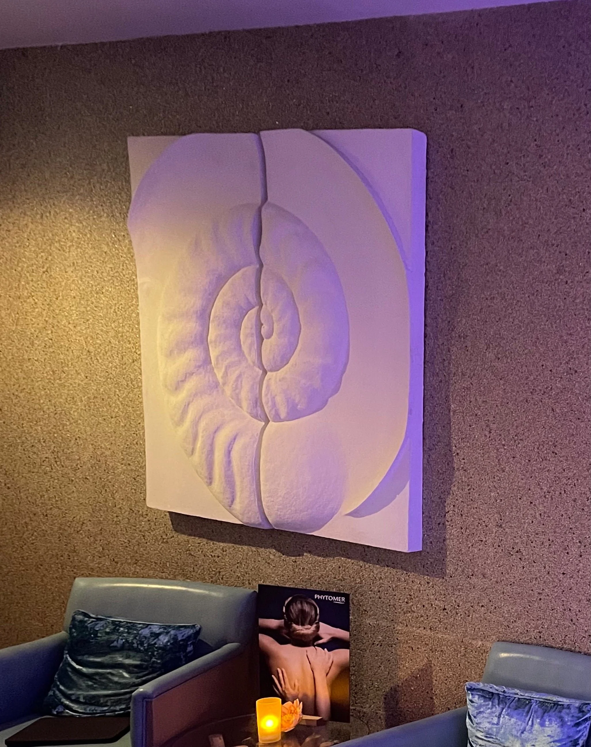 Ancient Ammonite wall sculpture lit on a dark textured wall in a reception space