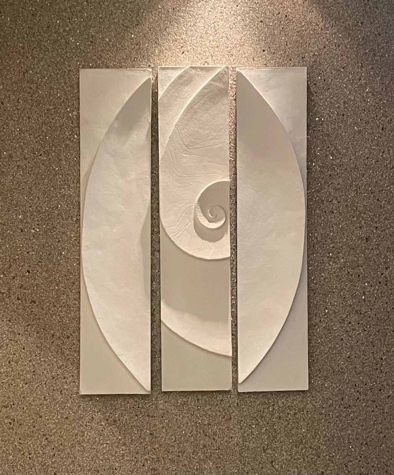 Shellwave Between Two Concave Moons wall sculpture in a warm bone finish on a taupe wall