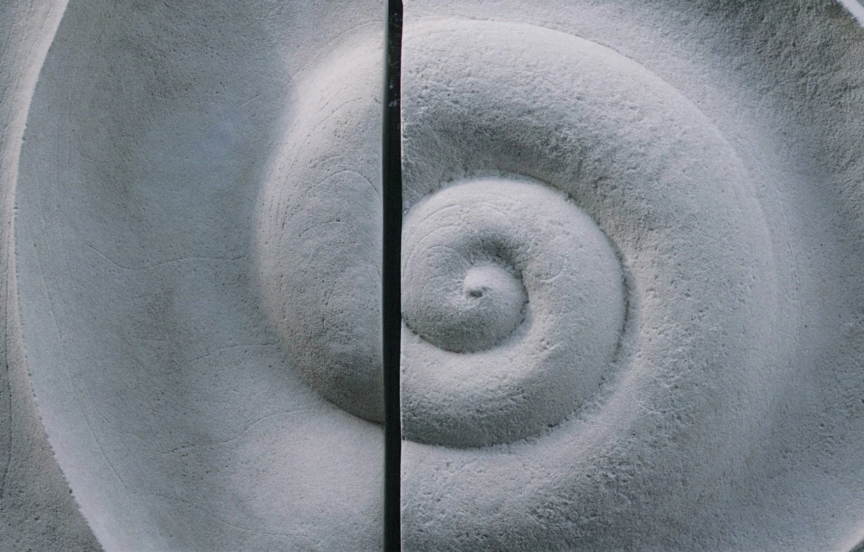 Bone Spiral wall sculpture in a cool grey stone finish, the carved spiral split across two panels