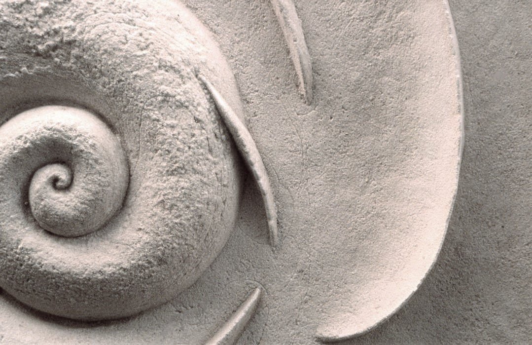 Close view of the Spiralfish Wave and Tide wall sculpture showing the carved spiral and rising fin