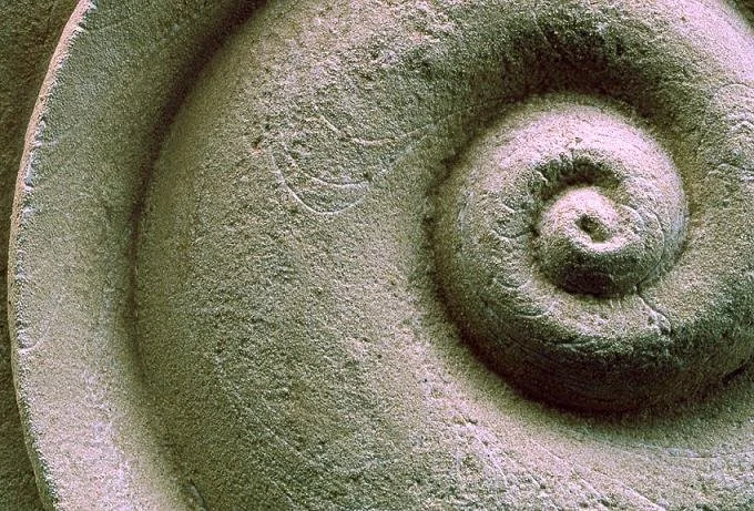 Close view of the Spiralmoon wall sculpture showing the coiled centre and its weathered stone surface