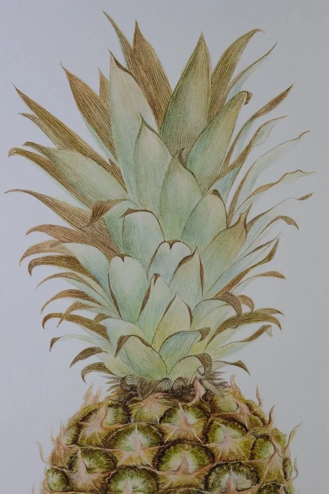 Detail of the Pineapple Portrait watercolour print showing the spiky green crown of leaves