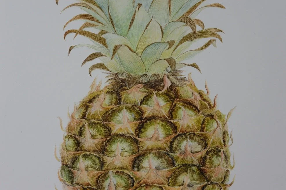 Detail of the Pineapple Portrait watercolour print showing the crown above the diamond-patterned skin