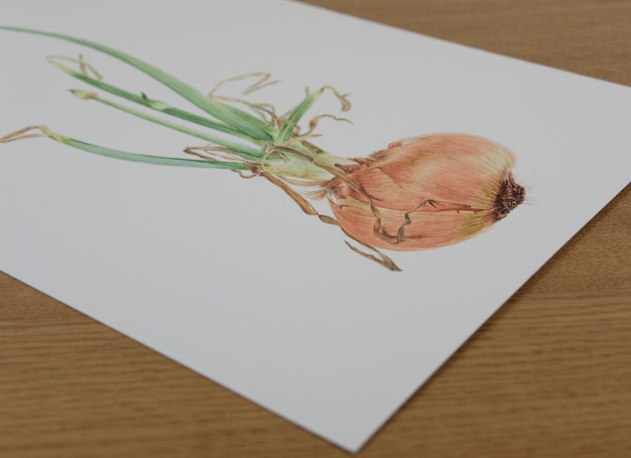 The Sprouting Onion Beauty Print lying flat on a wooden table