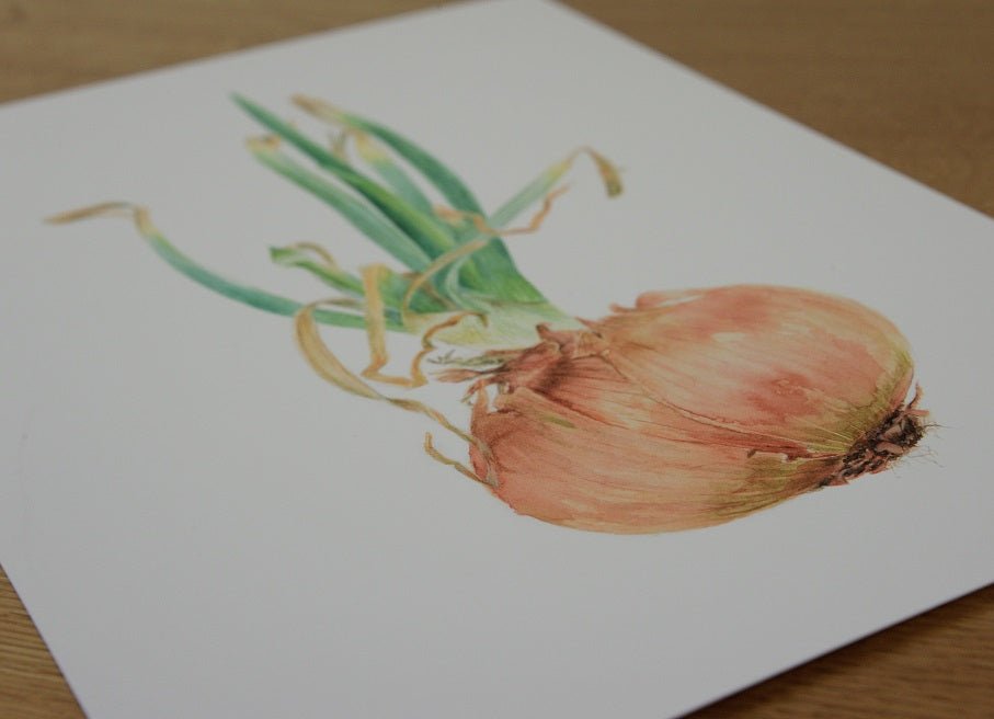 The Sprouting Onion Flower Bud Print lying at an angle on a dark wooden table