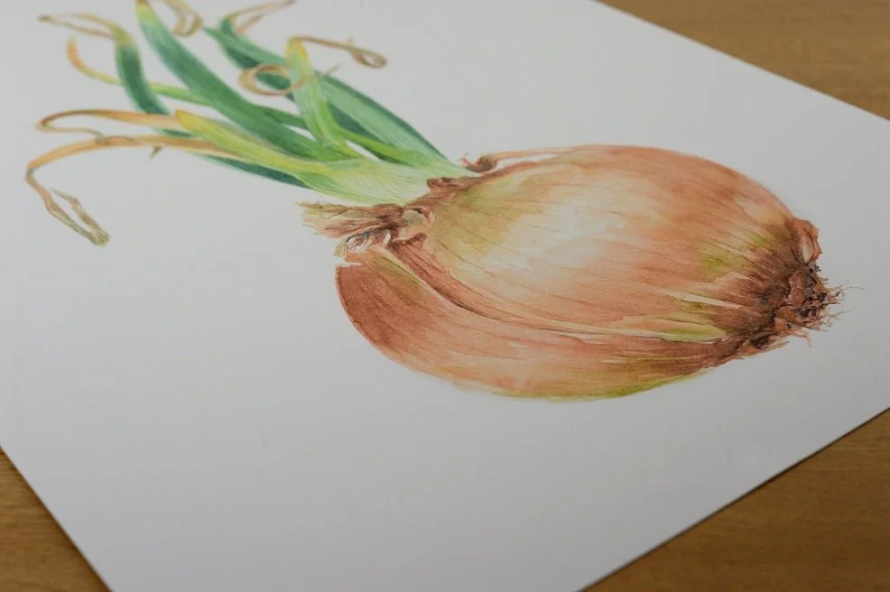 The Sprouting Onion Green Print lying on a wooden table, showing the paper and print edge