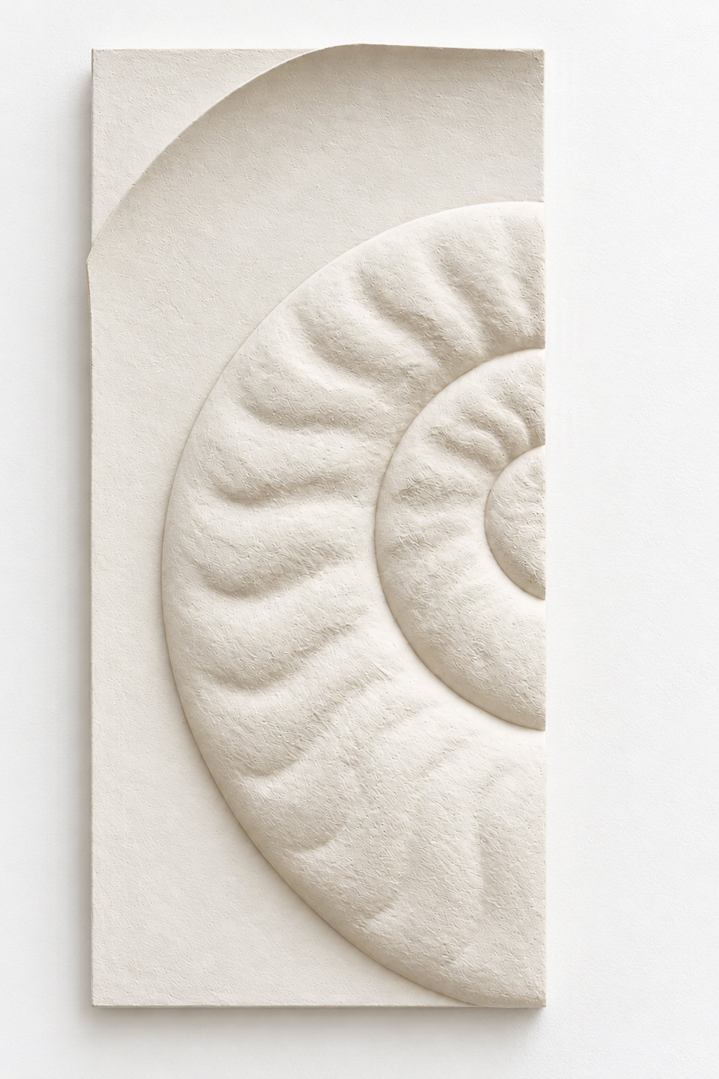 Ammonite Large 1, the white left panel with one half of the raised spiral shell.