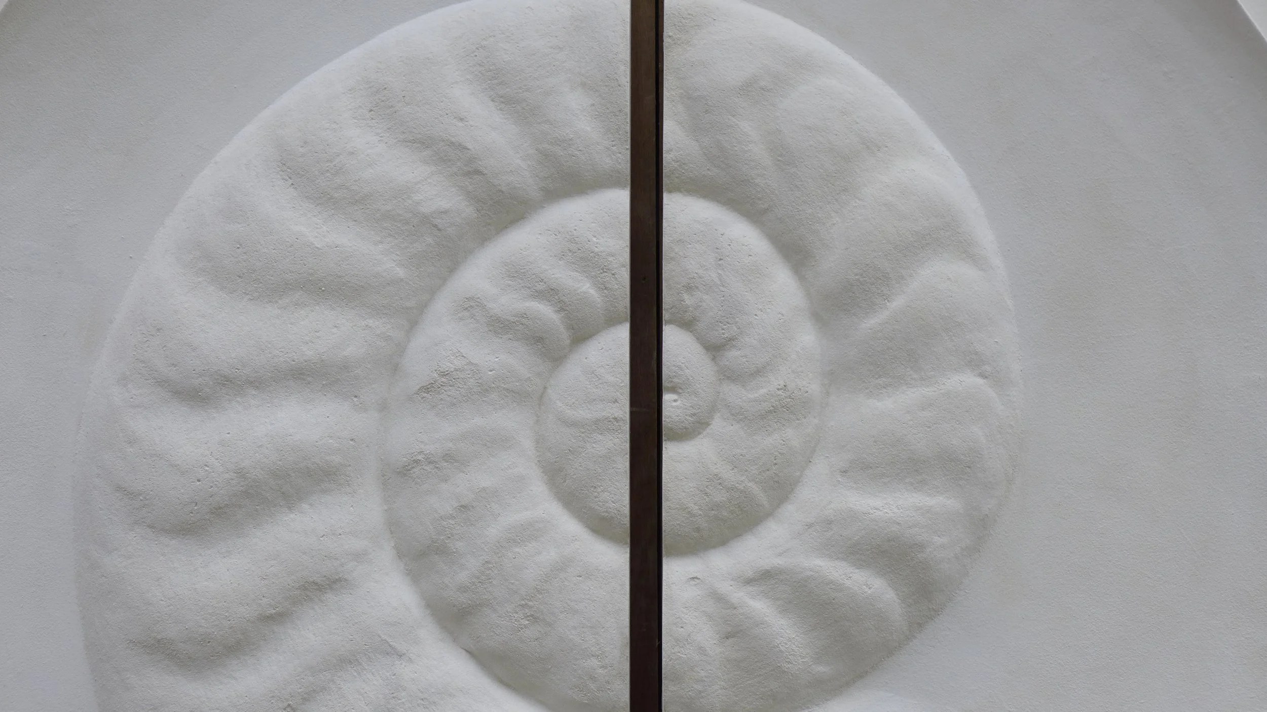 White Ammonite Large spiral detail across the join between the two panels.