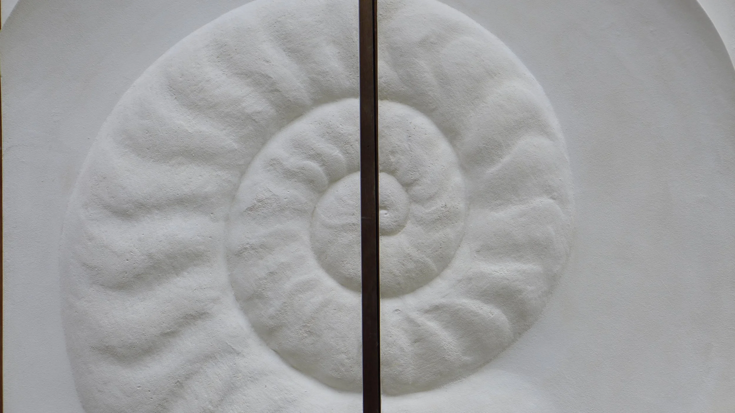 Close-up of the paired white Ammonite Large panels, showing the ridged shell and centre join.