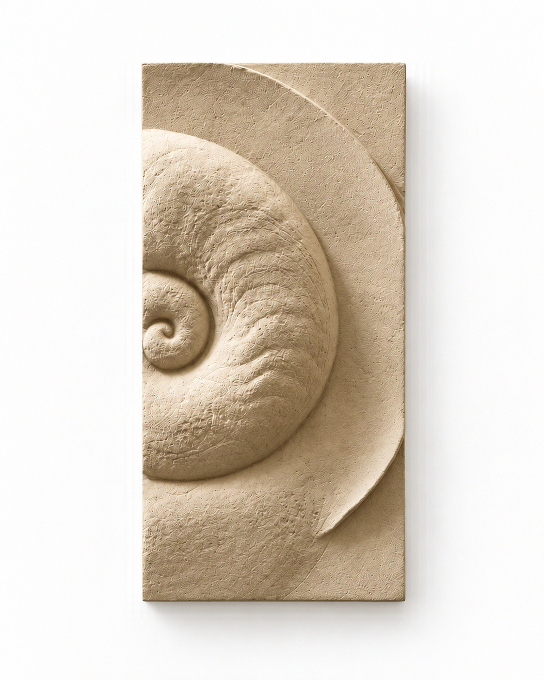 Ammonite Small 2, the right panel with the shell centre and outer curve against white.