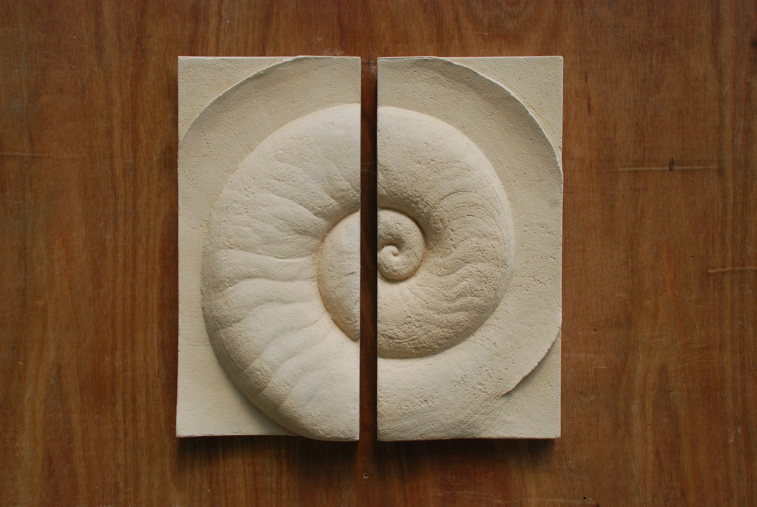 Front view of the paired white Ammonite Small panels on a timber board.