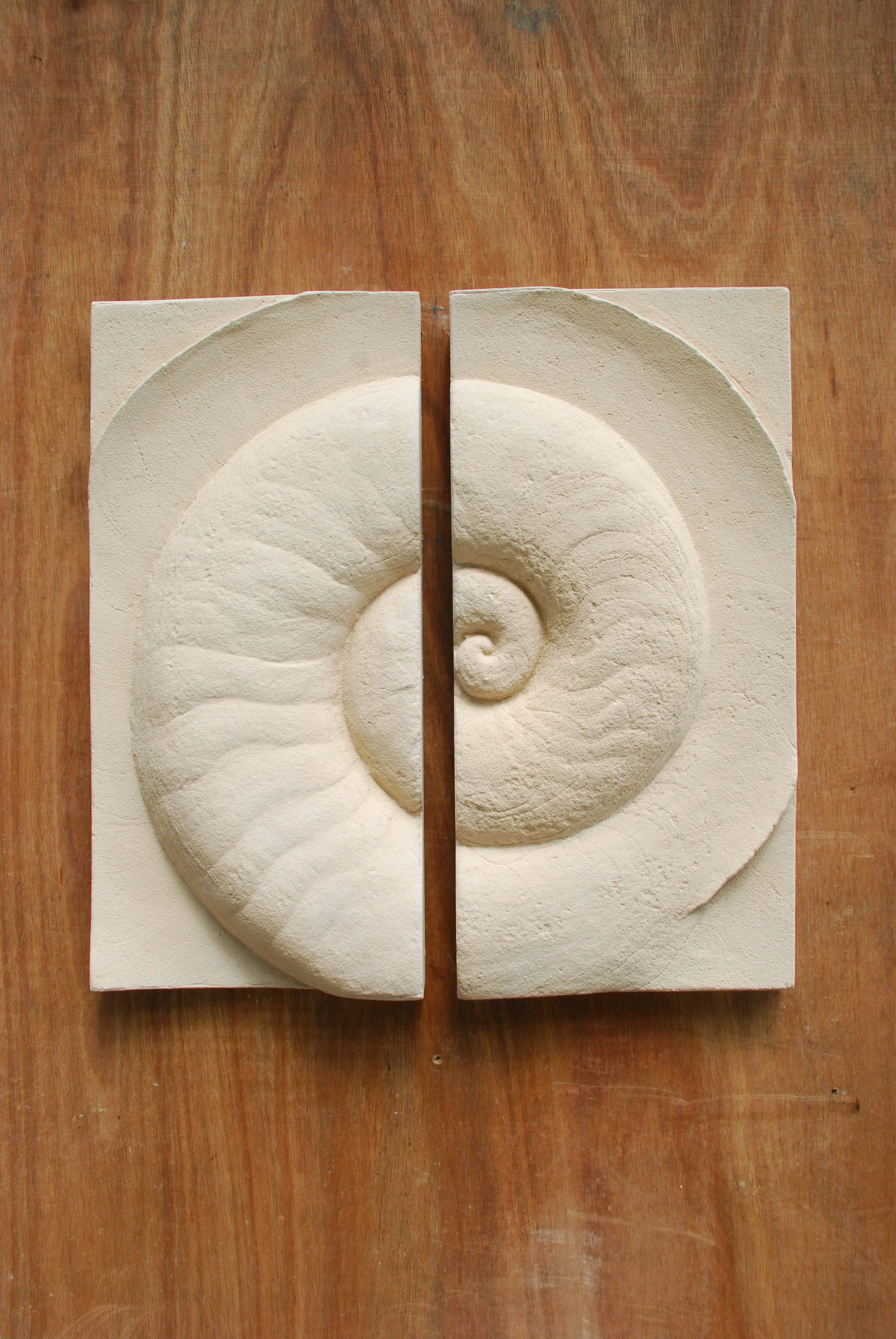 Two white Ammonite Small panels displayed together on timber, forming a complete shell spiral.