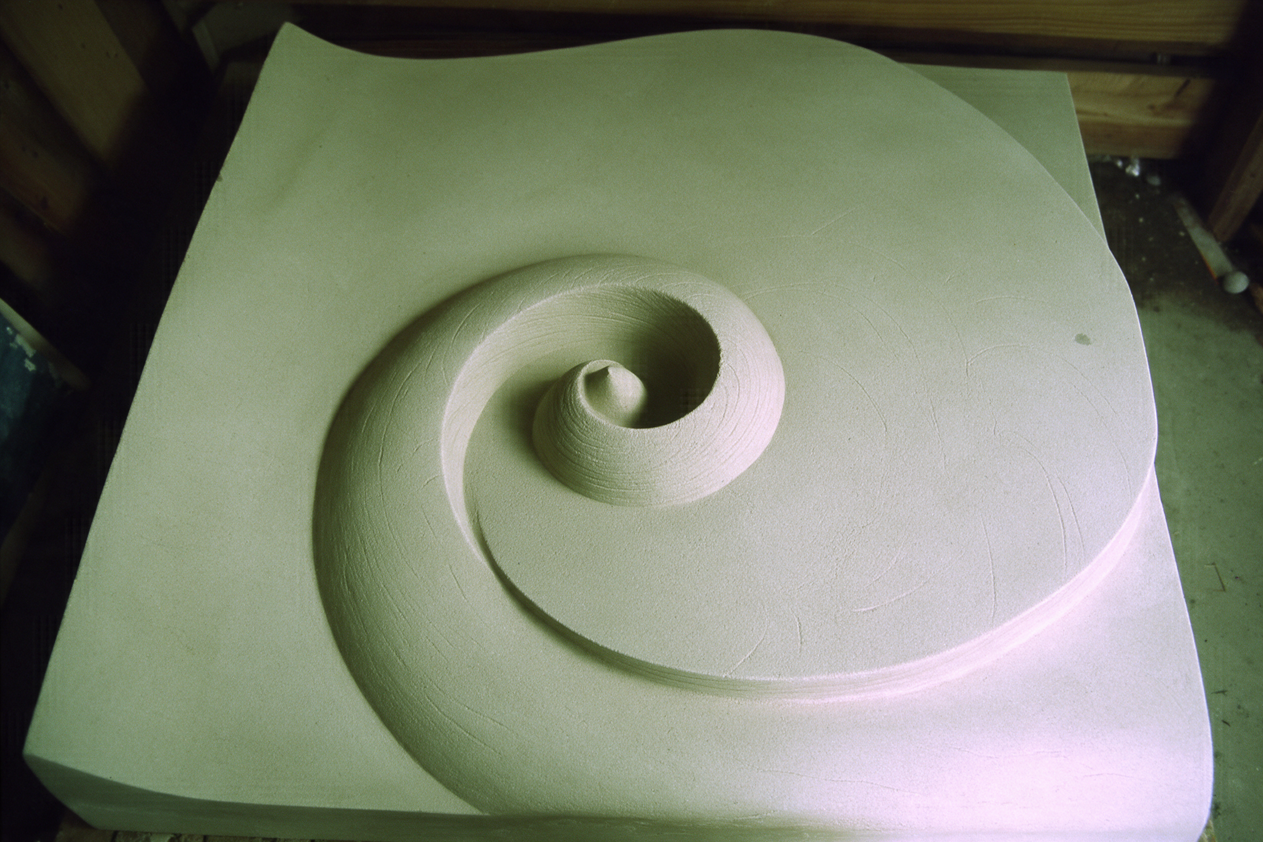 Angled workshop view of the pale Barbados Wave relief, with a smooth spiral and curling outer edge.