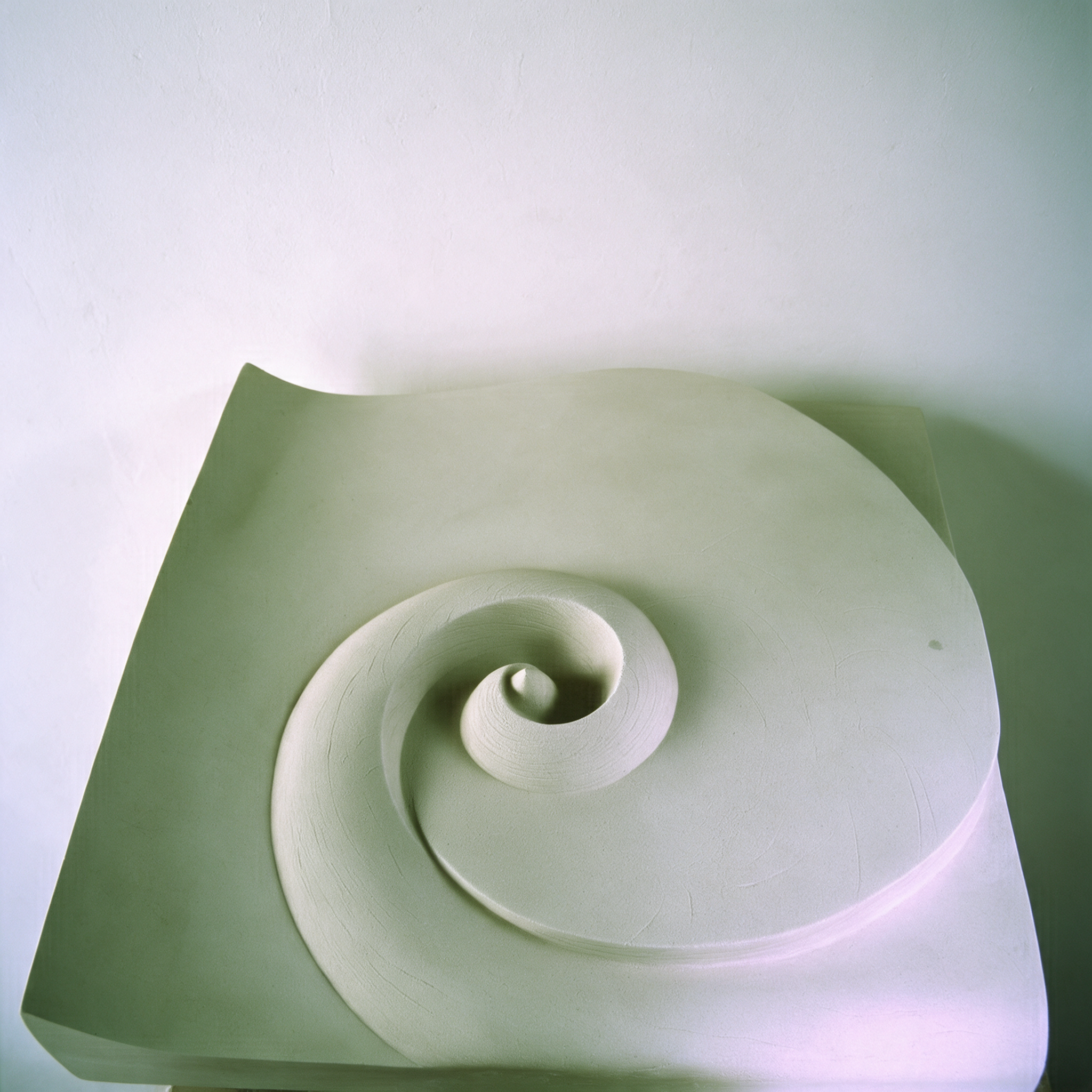 Oblique view of the white Barbados Wave relief, showing the depth of its smooth spiral.