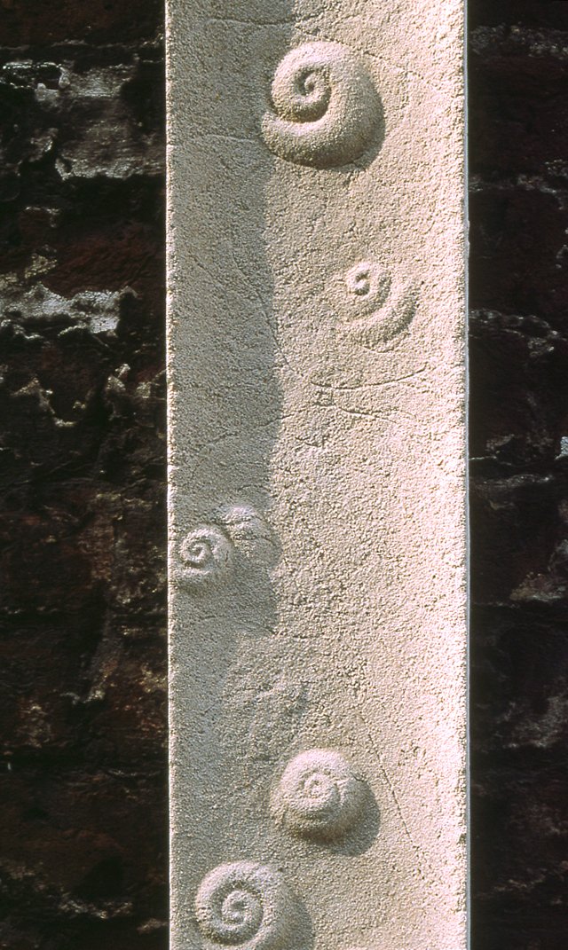 Detail of white Embedded Shells, with small spiral shells on a rough narrow panel.