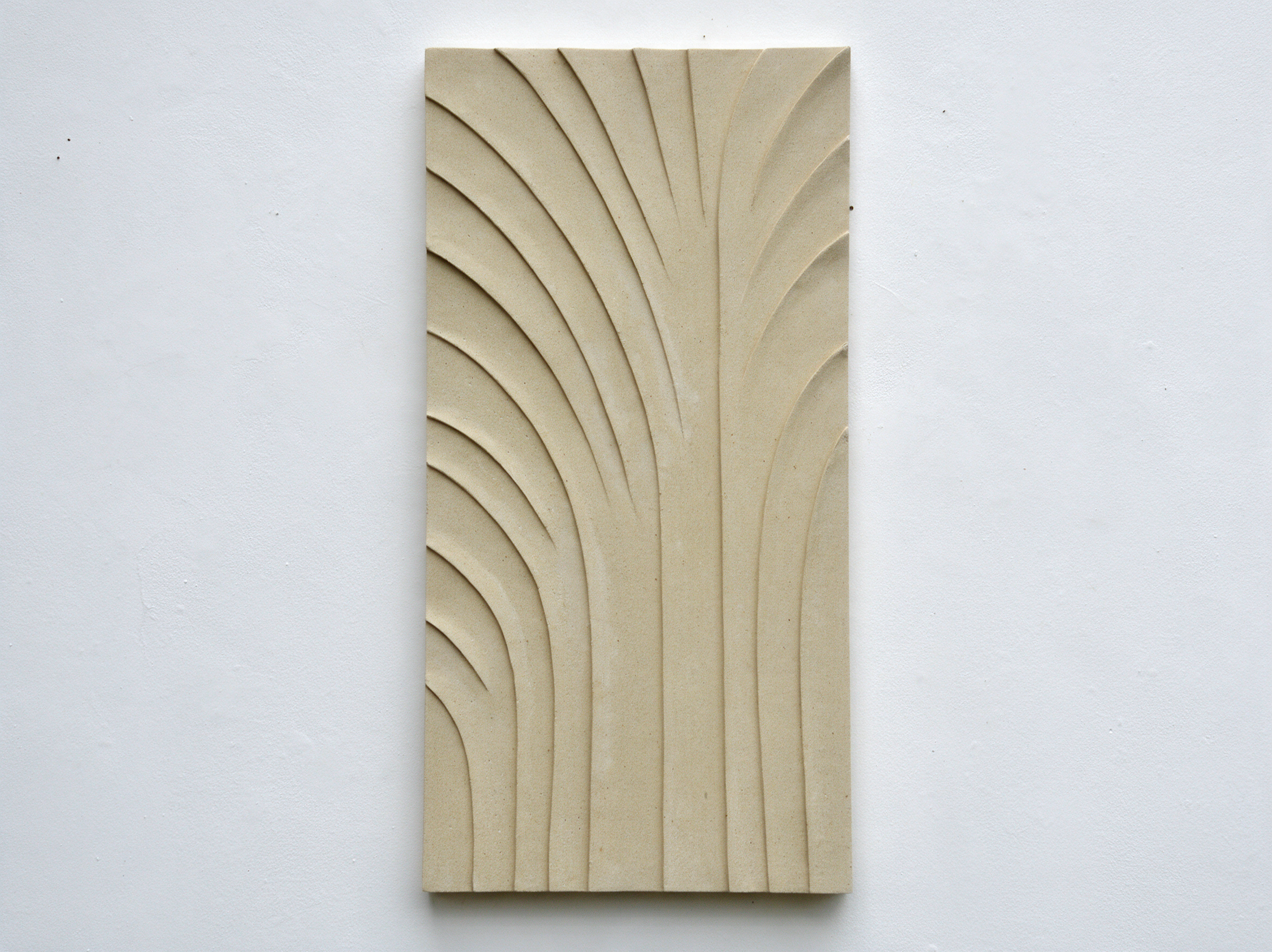 White Fountain Palm Egyptian with long fan-like curved ribs against a pale background.