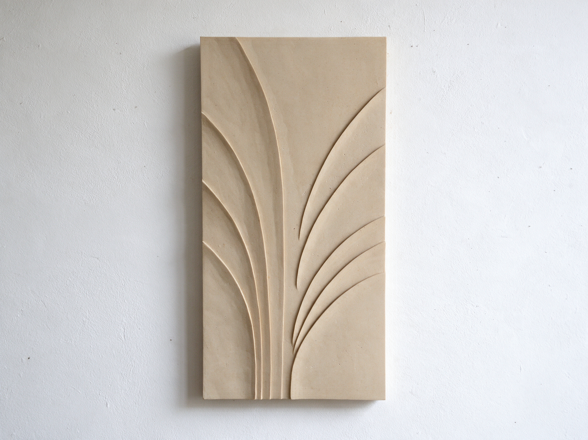 White Fountain Palm Mediterranean with curved leaf-like bands spreading upwards from the base.