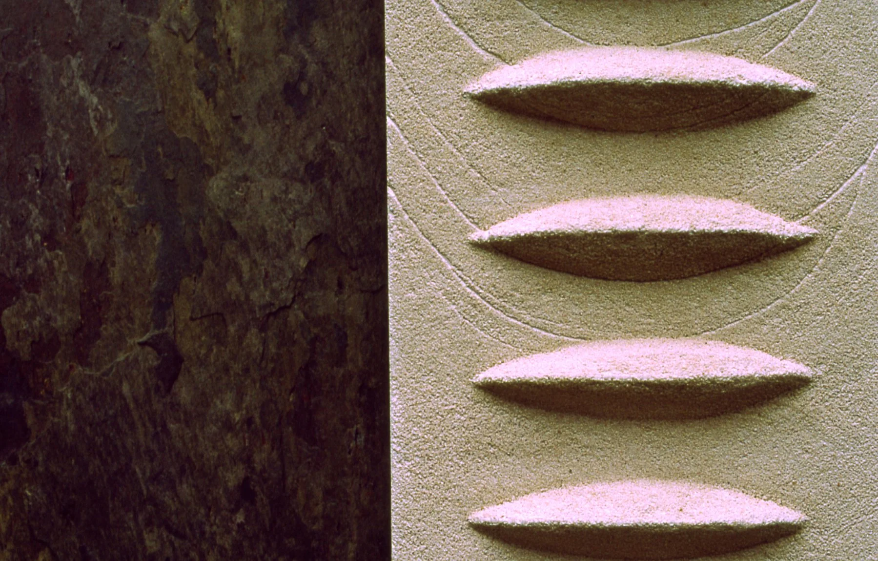 Close-up of white Frozen Fish, showing four raised tapered forms and their shadows.