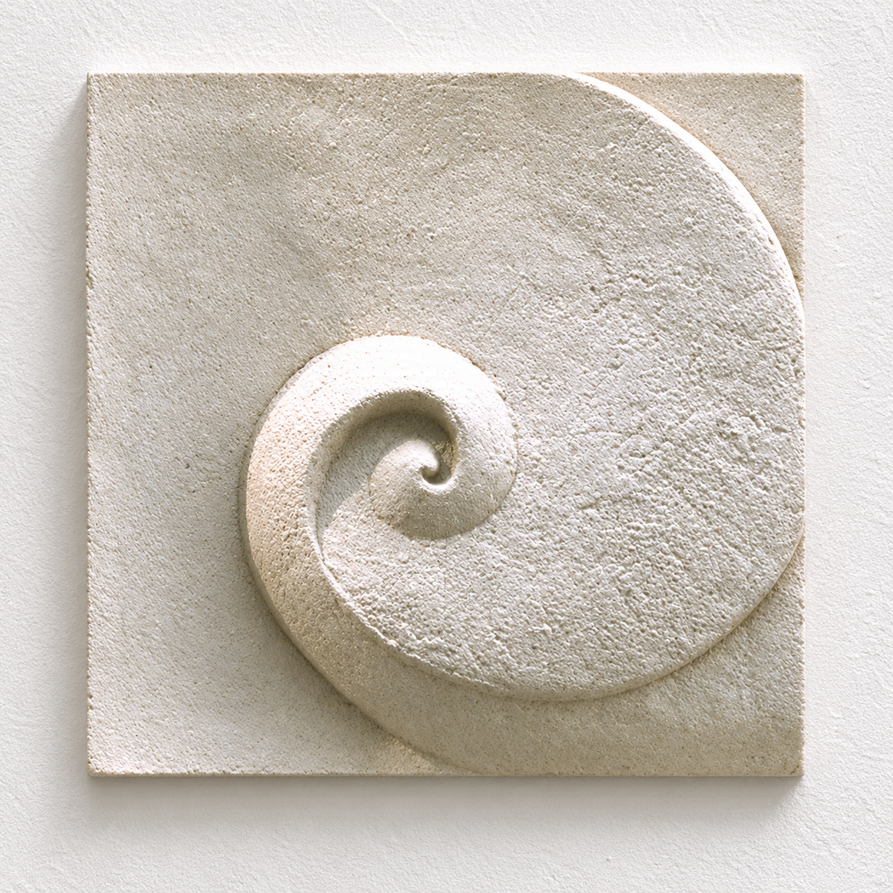 Close view of white Moonphase 1, showing the rough texture and spiral centre.