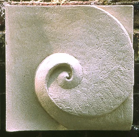 White Moonphase 1 panel with a textured spiral and curved outer ridge, photographed in outdoor light.