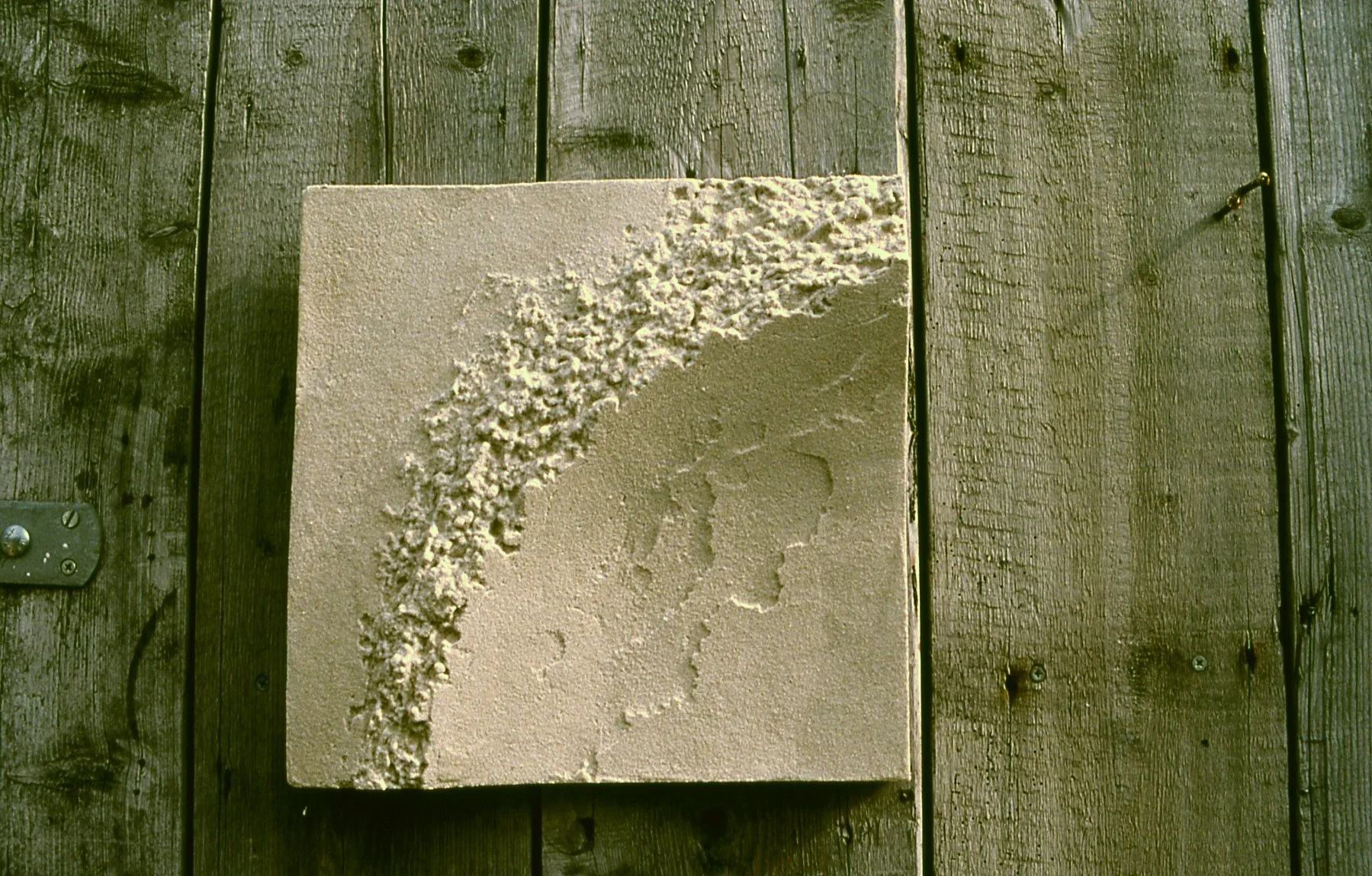 White Moonshell Lava Corner Curve relief with a rough raised arc, against a wooden fence.