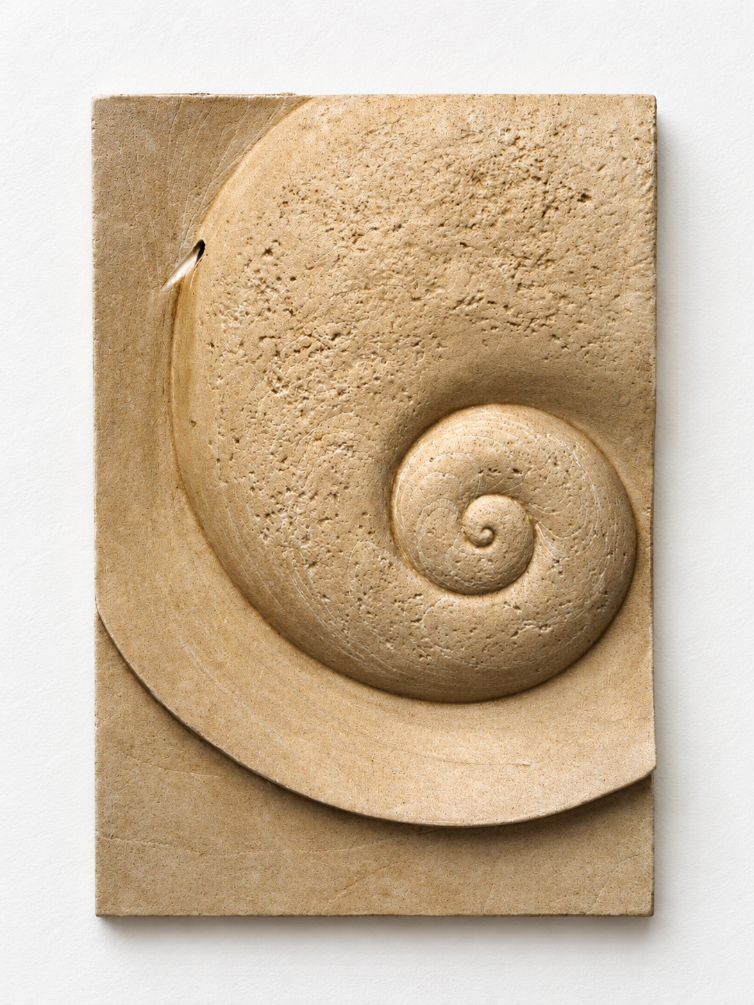 Battersea Shellmoon 1 Water Feature relief with a textured spiral and broad outer band against white.